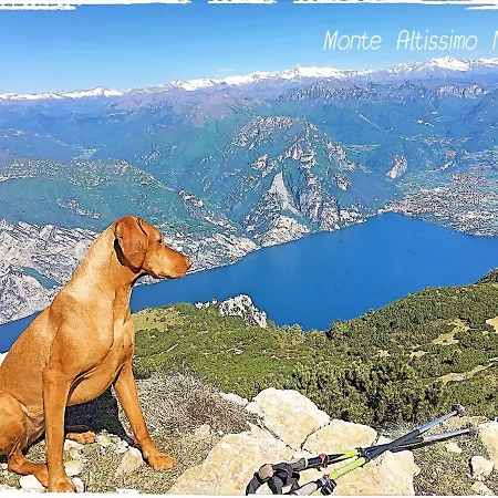 Viewlake Lägenhet Torbole Sul Garda